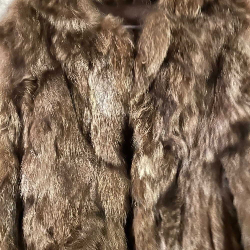 Raccoon Jacket
